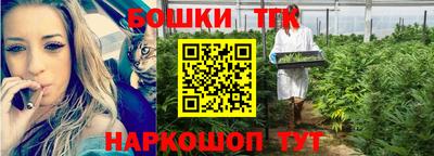spice Краснознаменск