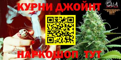 spice Краснознаменск