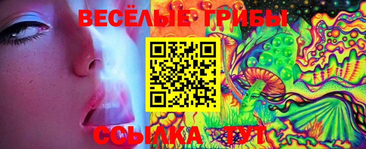 Хабаровск  Галлюциногенные грибы Magic Shrooms  Галлюциногенные грибы прущие грибы  Вход с VPN 
