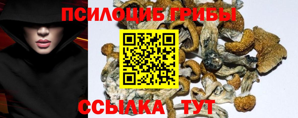 Галлюциногенные грибы GOLDEN TEACHER Хабаровск